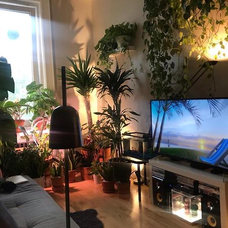Apartament Urban Jungle Oasis In Queens! Nowy Jork Zewnętrze zdjęcie