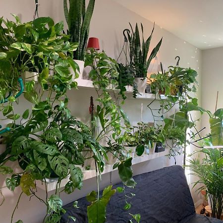 Apartament Urban Jungle Oasis In Queens! Nowy Jork Zewnętrze zdjęcie