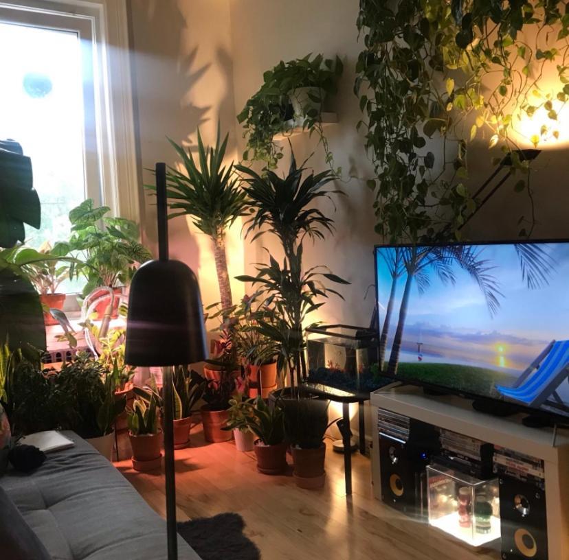 Apartament Urban Jungle Oasis In Queens! Nowy Jork Zewnętrze zdjęcie