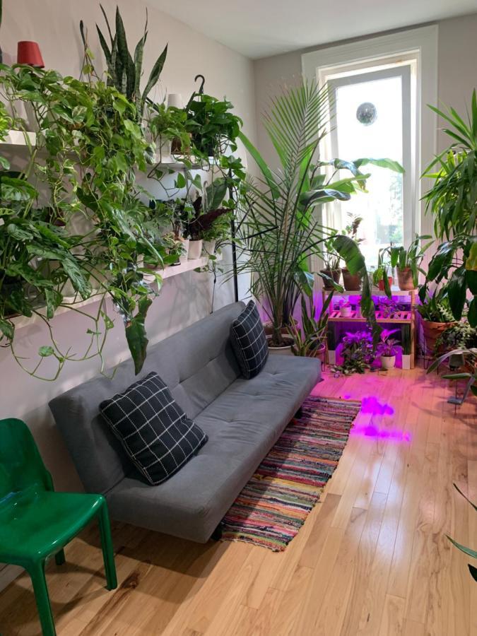 Apartament Urban Jungle Oasis In Queens! Nowy Jork Zewnętrze zdjęcie