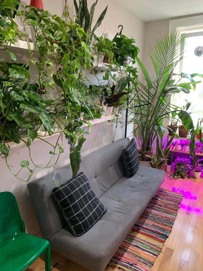 Apartament Urban Jungle Oasis In Queens! Nowy Jork Zewnętrze zdjęcie