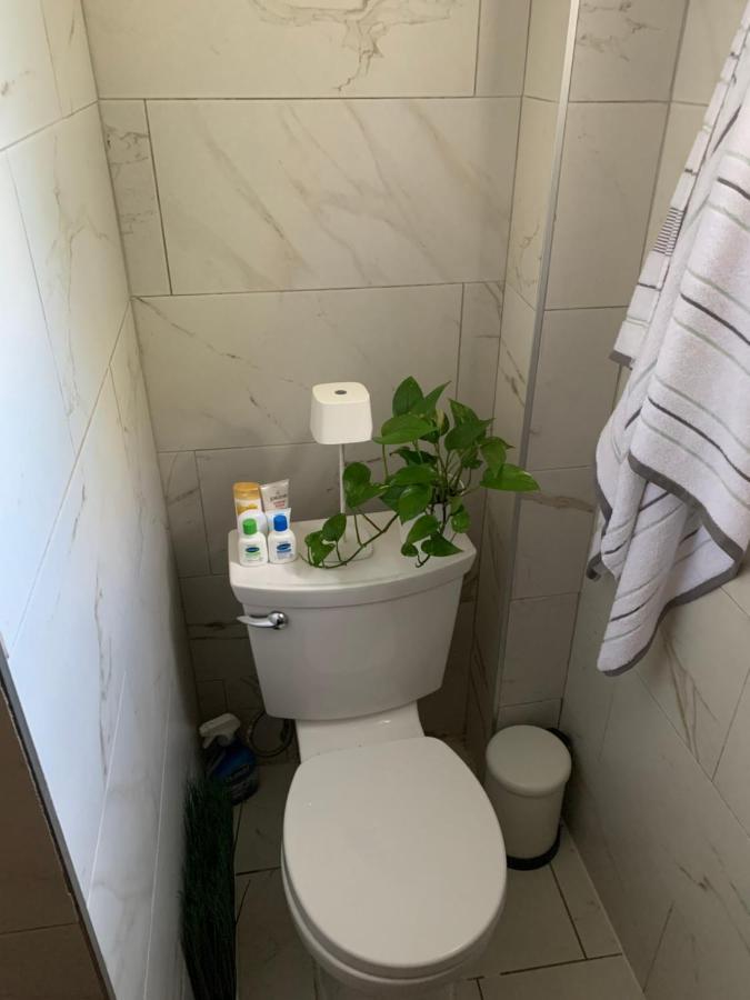 Apartament Urban Jungle Oasis In Queens! Nowy Jork Zewnętrze zdjęcie