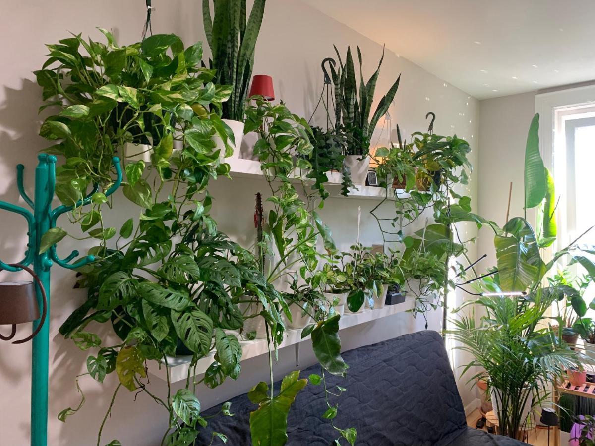 Apartament Urban Jungle Oasis In Queens! Nowy Jork Zewnętrze zdjęcie