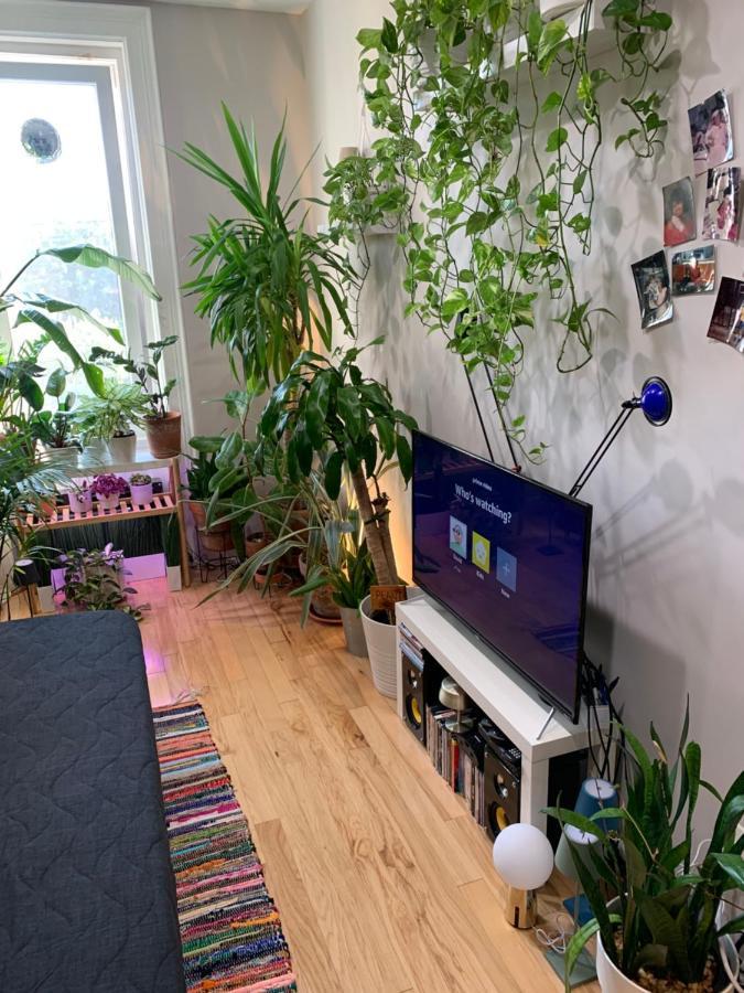 Apartament Urban Jungle Oasis In Queens! Nowy Jork Zewnętrze zdjęcie